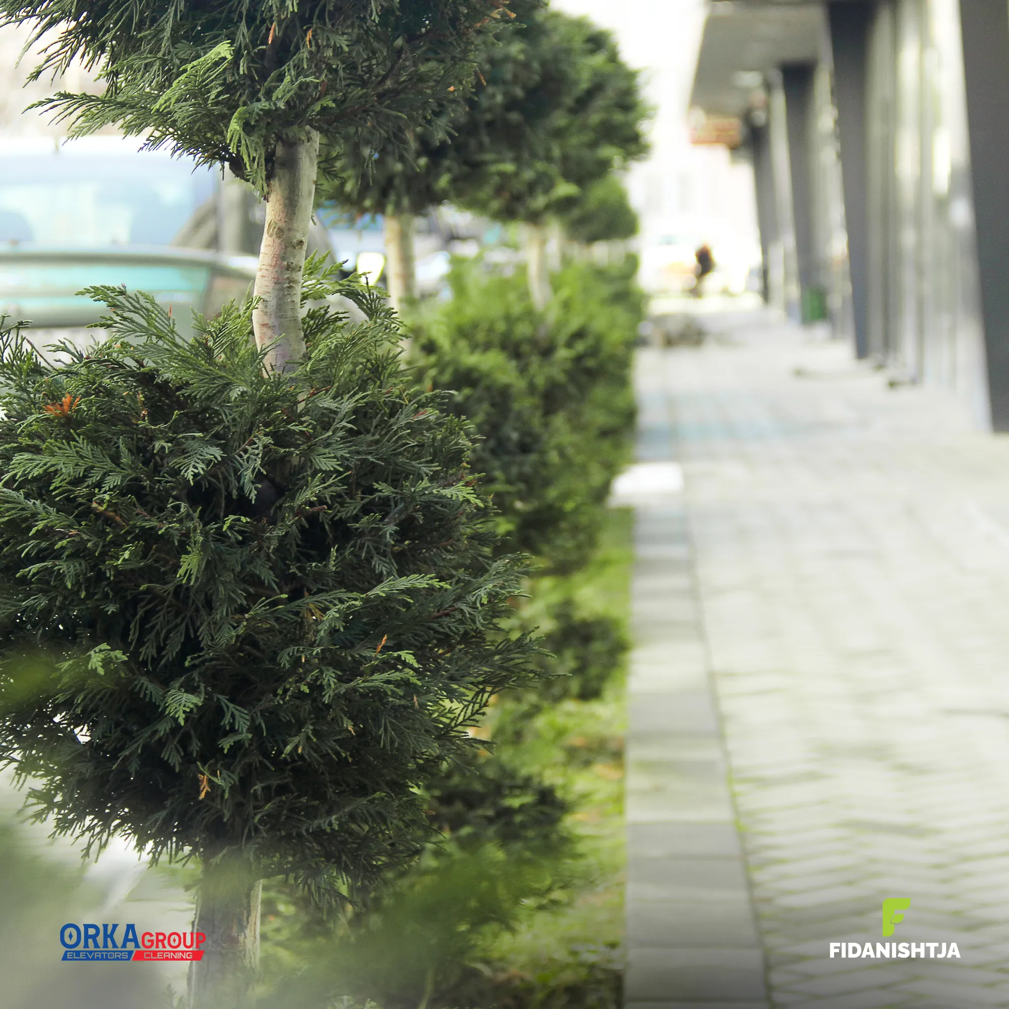 Procesi i ndërtimit