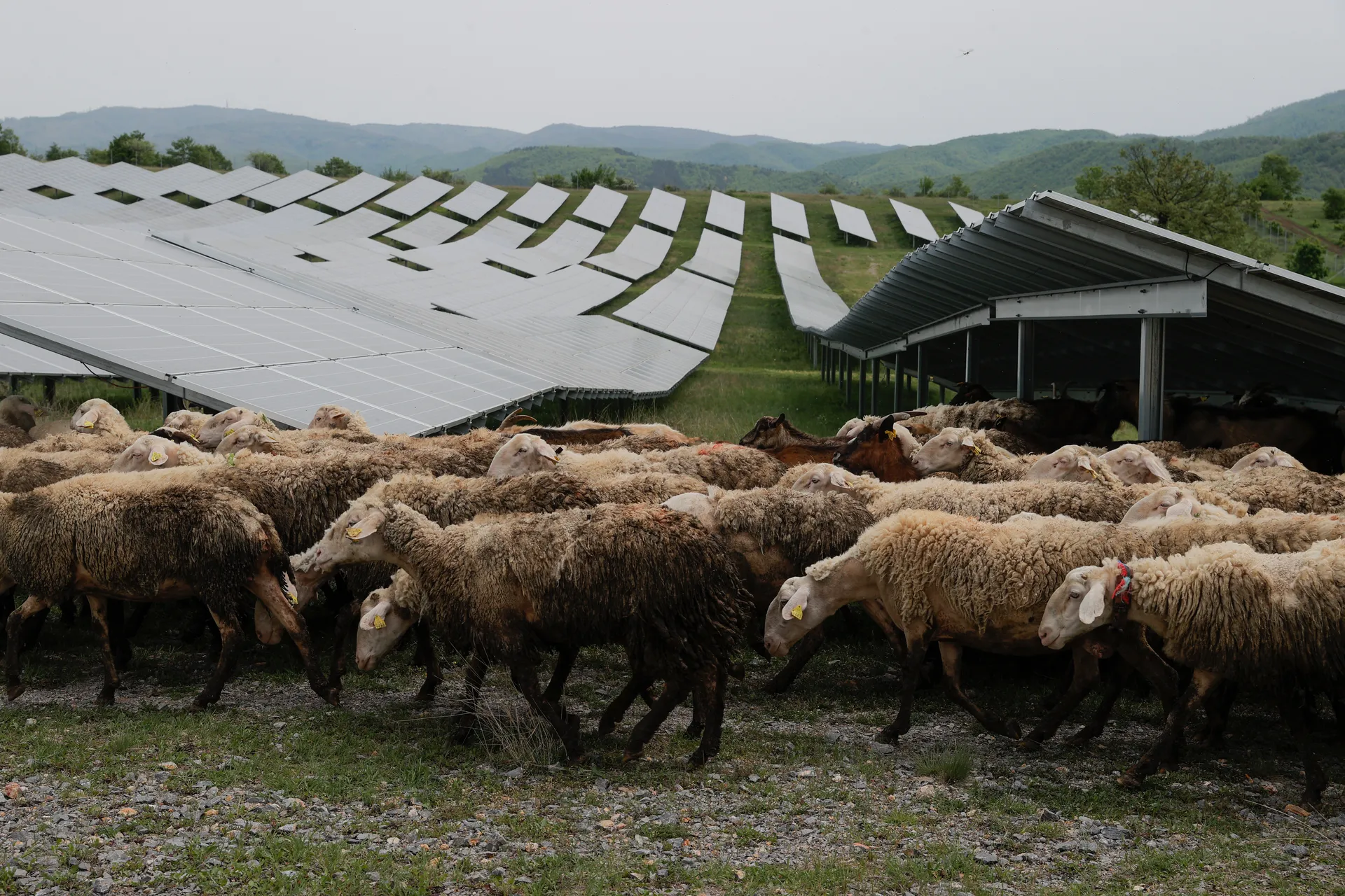 Reuters – Kosovo Solar Farm